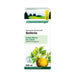 Schoenenberger Naturreiner Gemüsesaft Sellerie, 200 ml Lösung