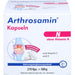 Arthrosamin N, 270 St KAP