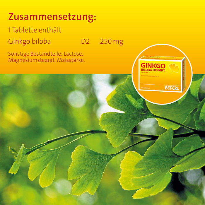 Ginkgo biloba Hevert, 300 pc Tablettes