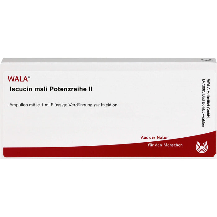 Iscucin  Mali Potenzreihe II, 10 St. Ampullen