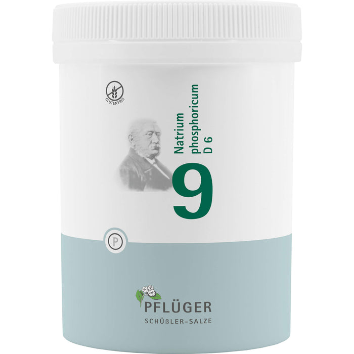 Pflüger Biochemie Nr.9 Natrium phosphoricum D6 Tabletten, 1000 pc Tablettes