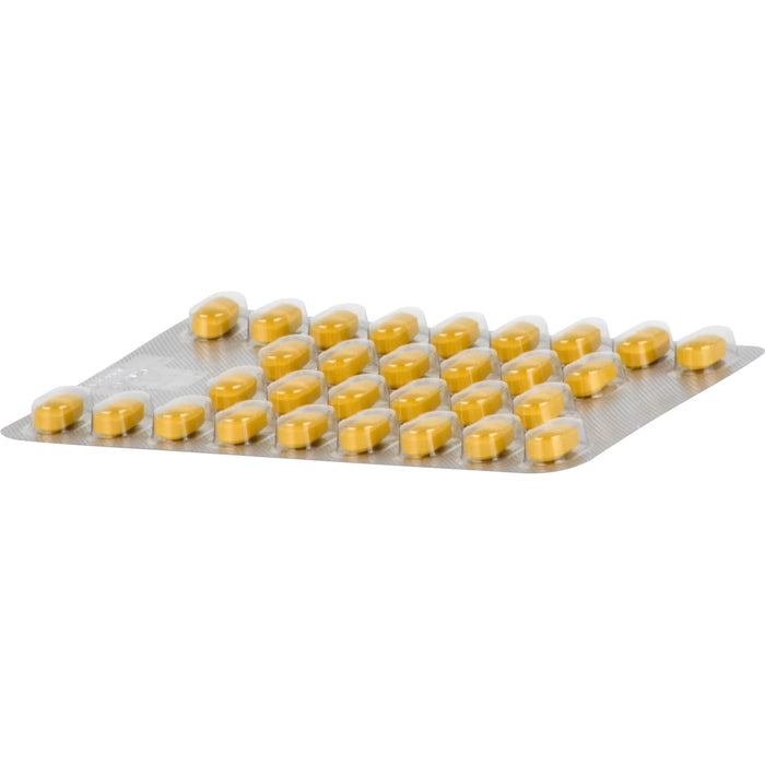 Tebonin spezial 80 mg Filmtabletten zur Leistungsstärkung des Gehirns und zur Durchblutung, 30 pcs. Tablets