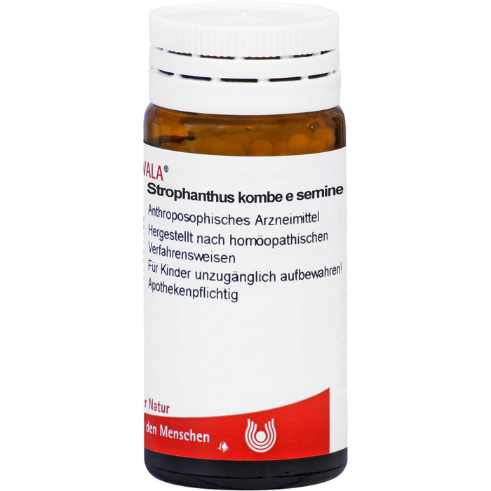 WALA Strophanthus kombe e semine D 6 Globuli, 20 g Globuli