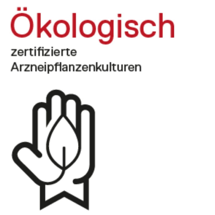 DHU Zappelin Streukügelchen, 10 g Globules