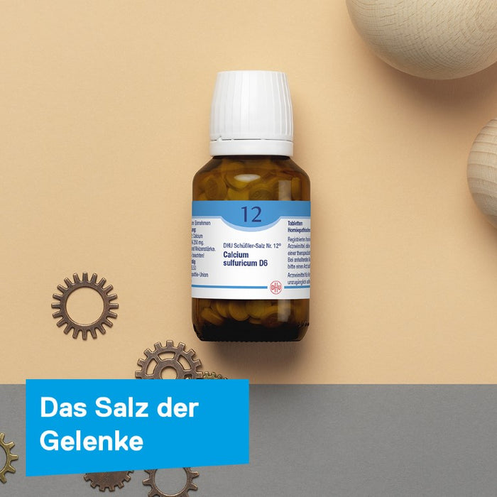 DHU Schüßler-Salz Nr. 12 Calcium sulfuricum D6, 200 pc Tablettes