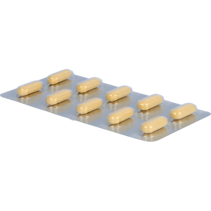 Ginkgo STADA 240 mg Filmtabletten, 30 St FTA