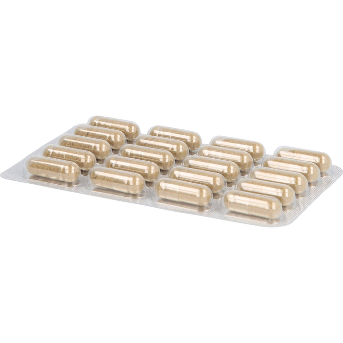 PADMA 28 active Kapseln für eine normale Funktion der Blutgefäße durch normale Kollagenbildung, 200 pcs. Capsules