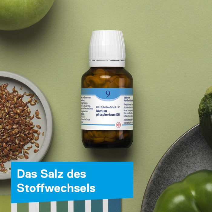 DHU Schüßler-Salz Nr. 9 Natrium phosphoricum D6, 80 pcs. Tablets