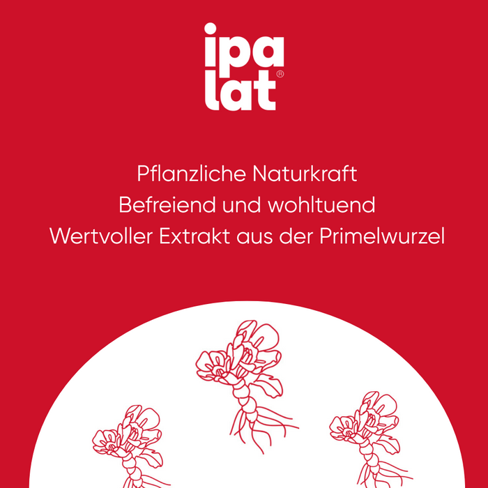 ipalat Die Halspastille Honigmild, 120 pc Pastilles
