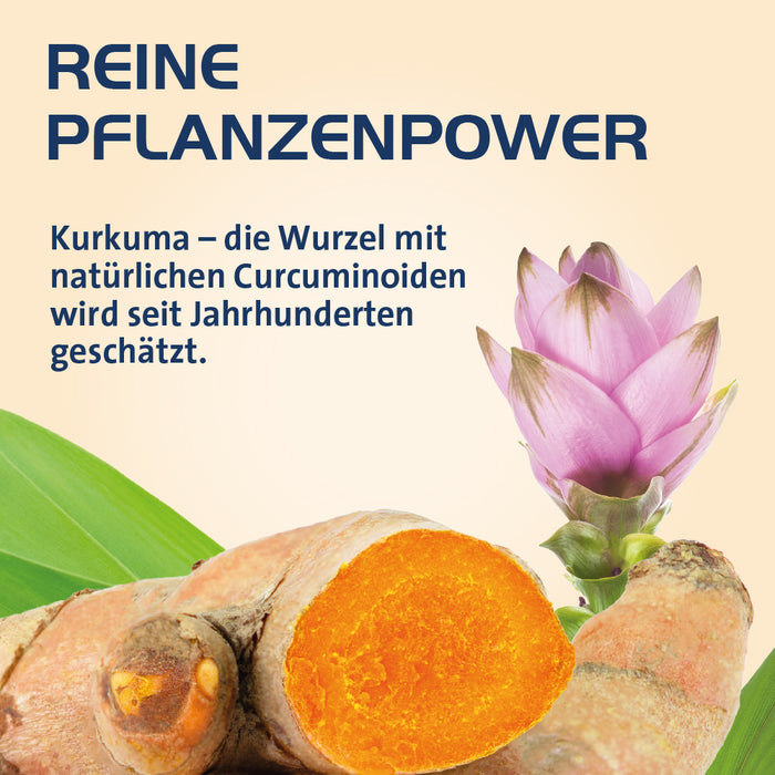 Curcumin Hevert OptiSolv Tabletten, 60 St. Tabletten