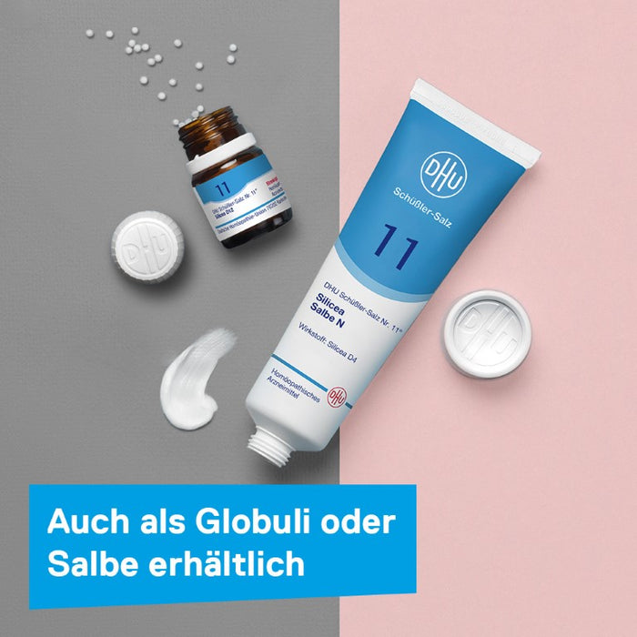 DHU Schüßler-Salz Nr. 11 Silicea D12, 420 pcs. Tablets