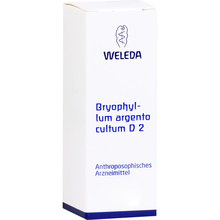 Bryophyllum Argento cultum D2 WELEDA Dil., 50