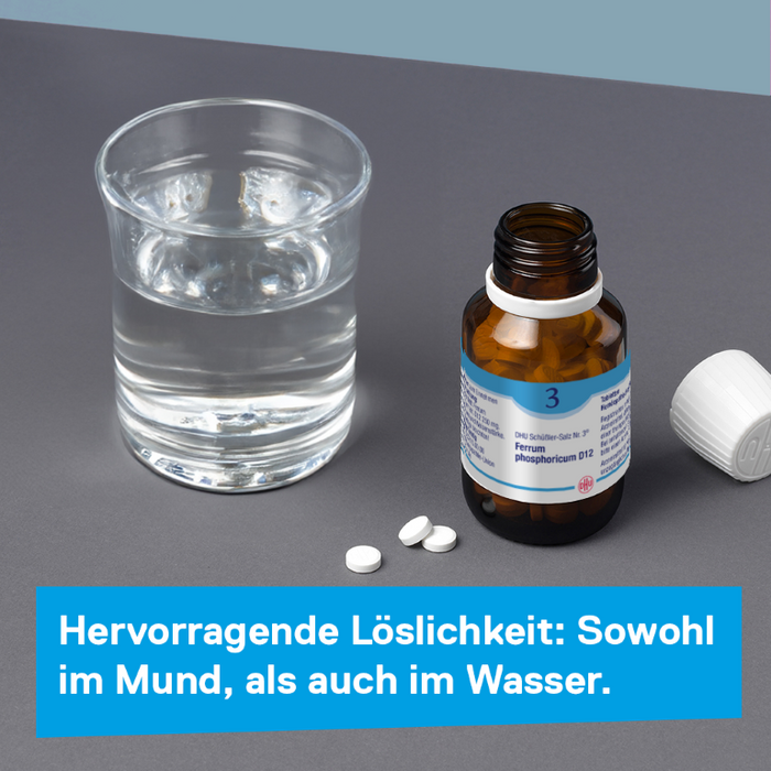 DHU Schüßler-Salz Nr. 3 Ferrum phosphoricum D12, 420 pc Tablettes