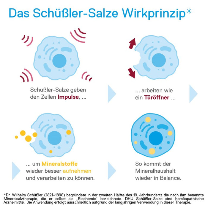 DHU Schüßler-Salz Nr. 8 Natrium chloratum D6, 420 pcs. Tablets