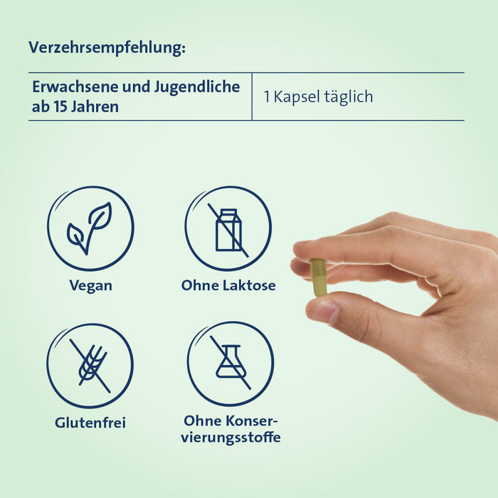 Eisen + C Hevert pflanzlich, 60 pc Capsules