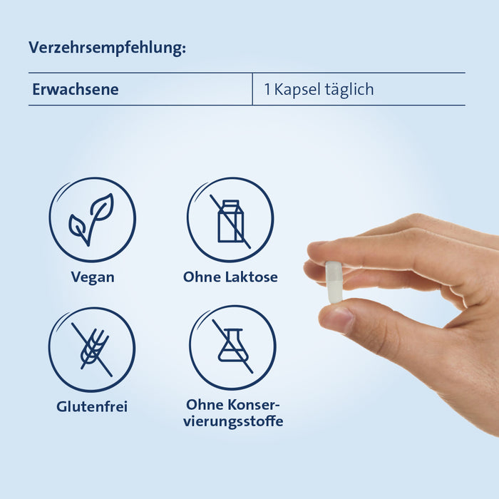 Zink Hevert 25 mg Kapseln, 100 pcs. Capsules