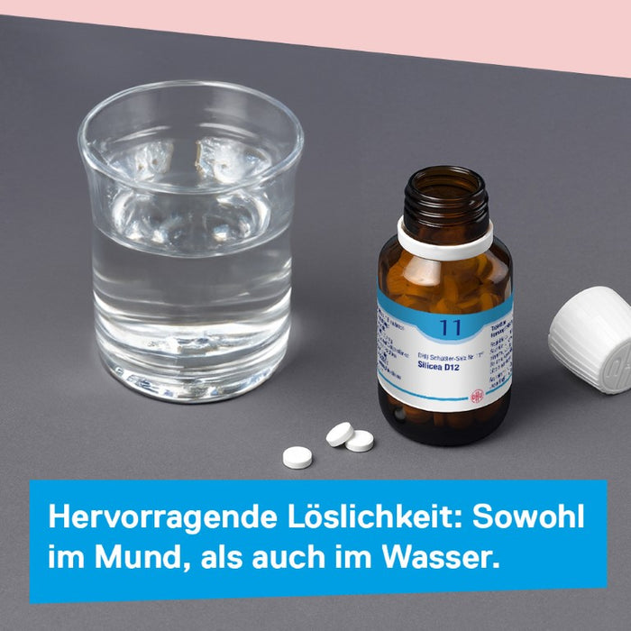 DHU Schüßler-Salz Nr. 11 Silicea D12, 420 pcs. Tablets
