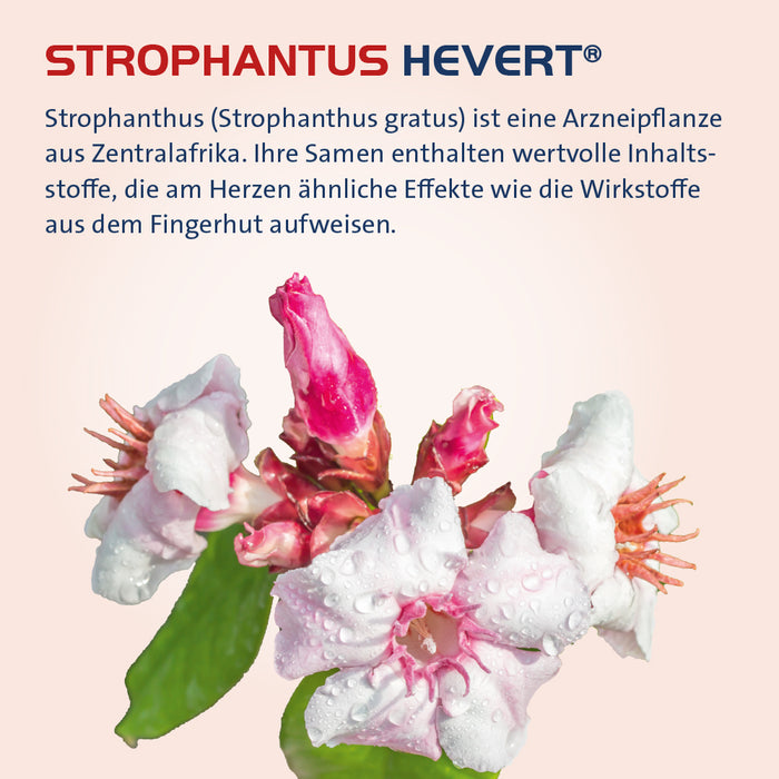 Strophanthus Hevert, 30 ml 