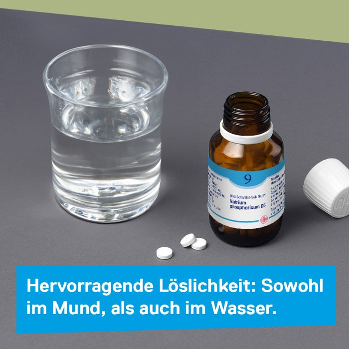 DHU Schüßler-Salz Nr. 9 Natrium phosphoricum D6, 420 pcs. Tablets