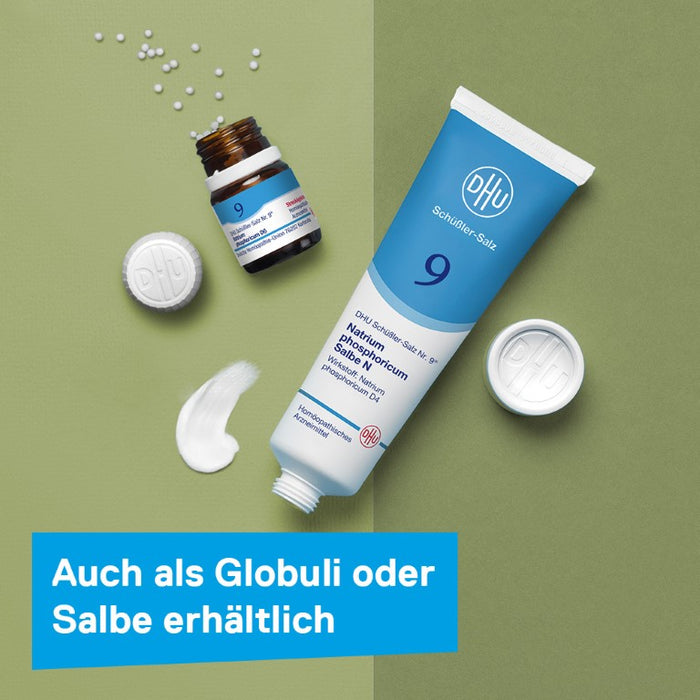 DHU Schüßler-Salz Nr. 9 Natrium phosphoricum D6, 80 pcs. Tablets