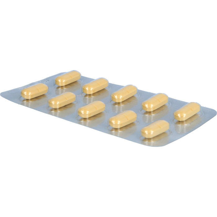 Ginkgo AL 240 mg Filmtabletten für Gedächtnis und Konzentration bei leichter Demenz, 30 St. Tabletten