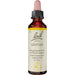 Bach Original Bach-Blüten Nr. 12 Gentian Herbstenzian Tropfen, 20 ml Lösung