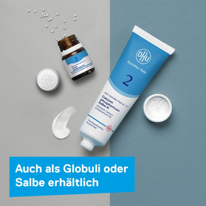 DHU Schüßler-Salz Nr. 2 Calcium phosphoricum D6, 200 pcs. Tablets