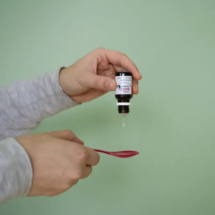 Omni Biotic Panda Tropfen, speziell für Babys entwickelt, 8 ml Huile
