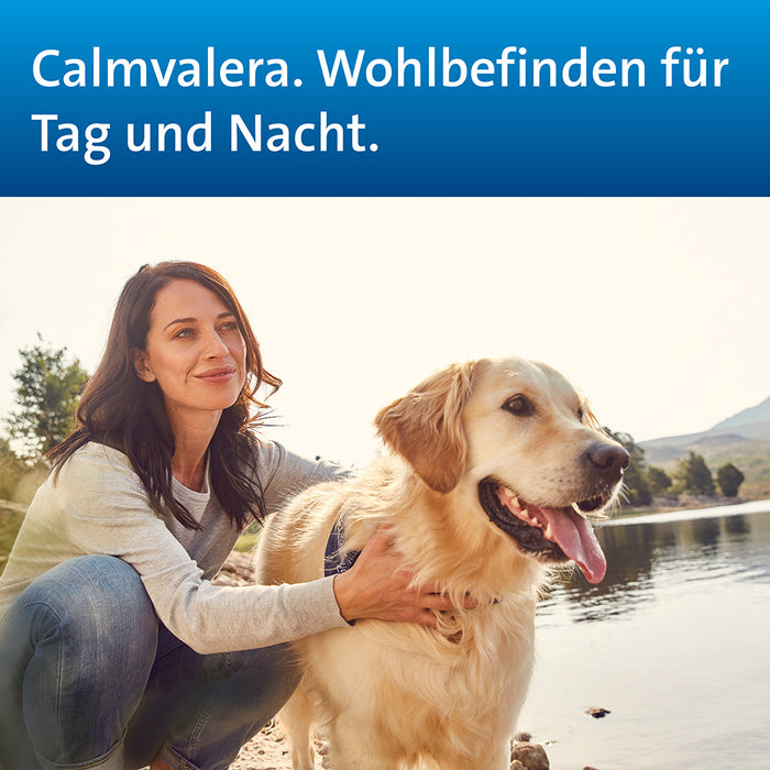 Calmvalera Tabletten bei nervösen Störungen wie Schlafstörungen und Unruhe, 100 pcs. Tablets